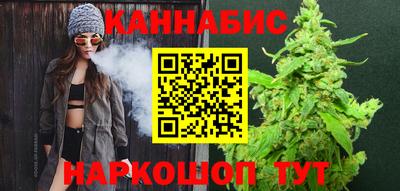 индика Ярославль