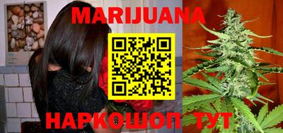 индика Ярославль