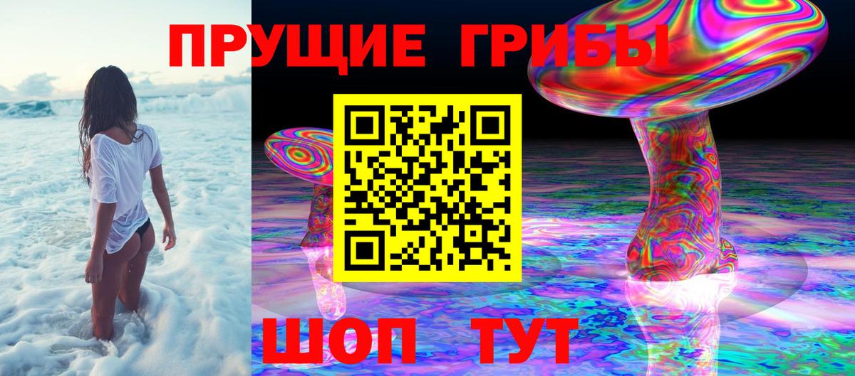 Псилоцибиновые грибы MAGIC MUSHROOMS Всеволожск